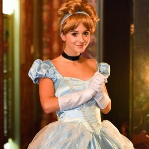 Cinderella Dress (Wig+Accessories not Included)
